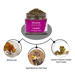Shizhoo Catnip cats-playtime-action showcases energy-igniting fun for active felines.