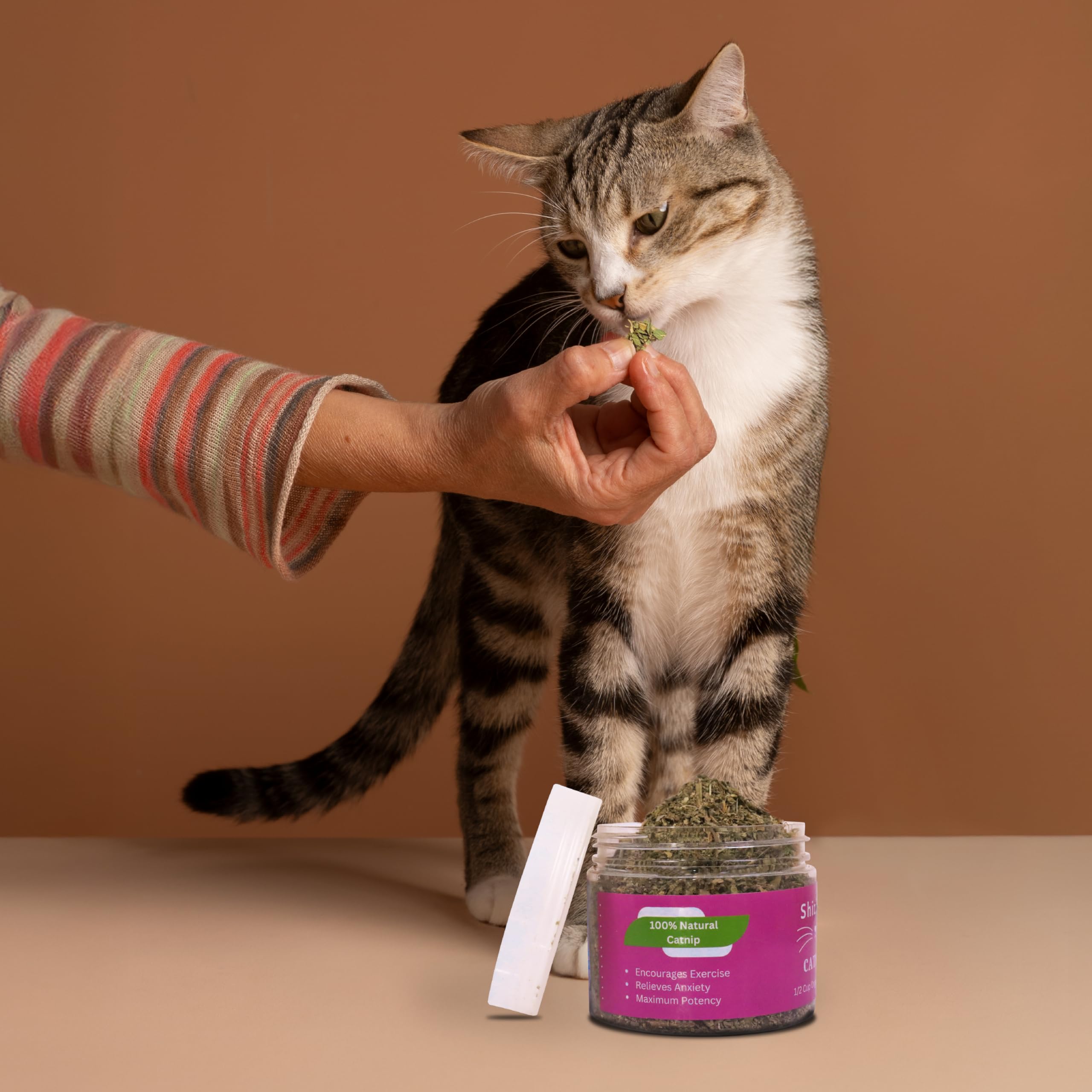 Shizhoo Catnip leaves-and-flowers closeup communicates premium quality and freshness.