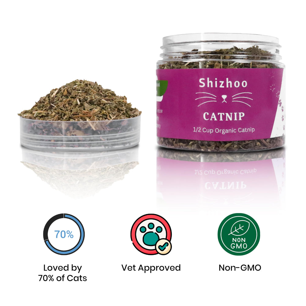 Shizhoo Catnip leaves-flowers-detail shows aromatic oils for quick scent release.