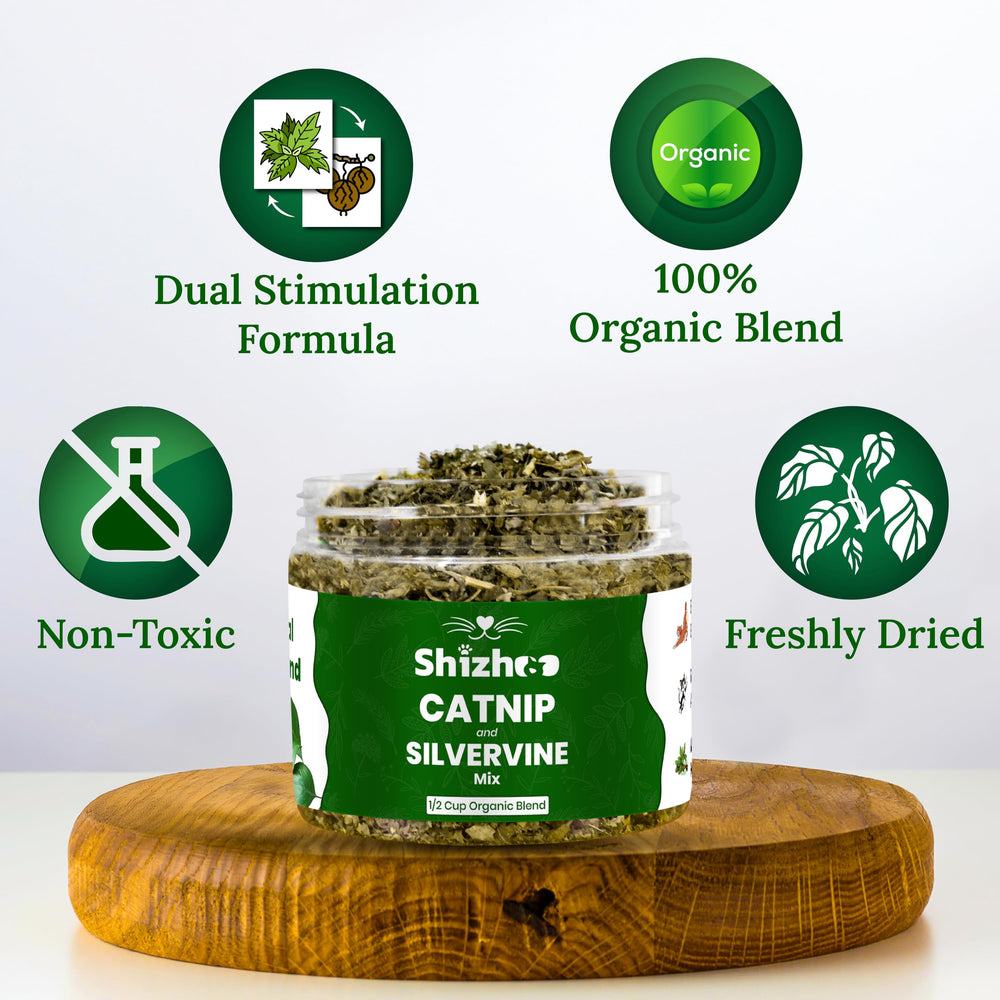 Shizhoo Catnip-Silver-Vine bowl with treats for focused interactive play