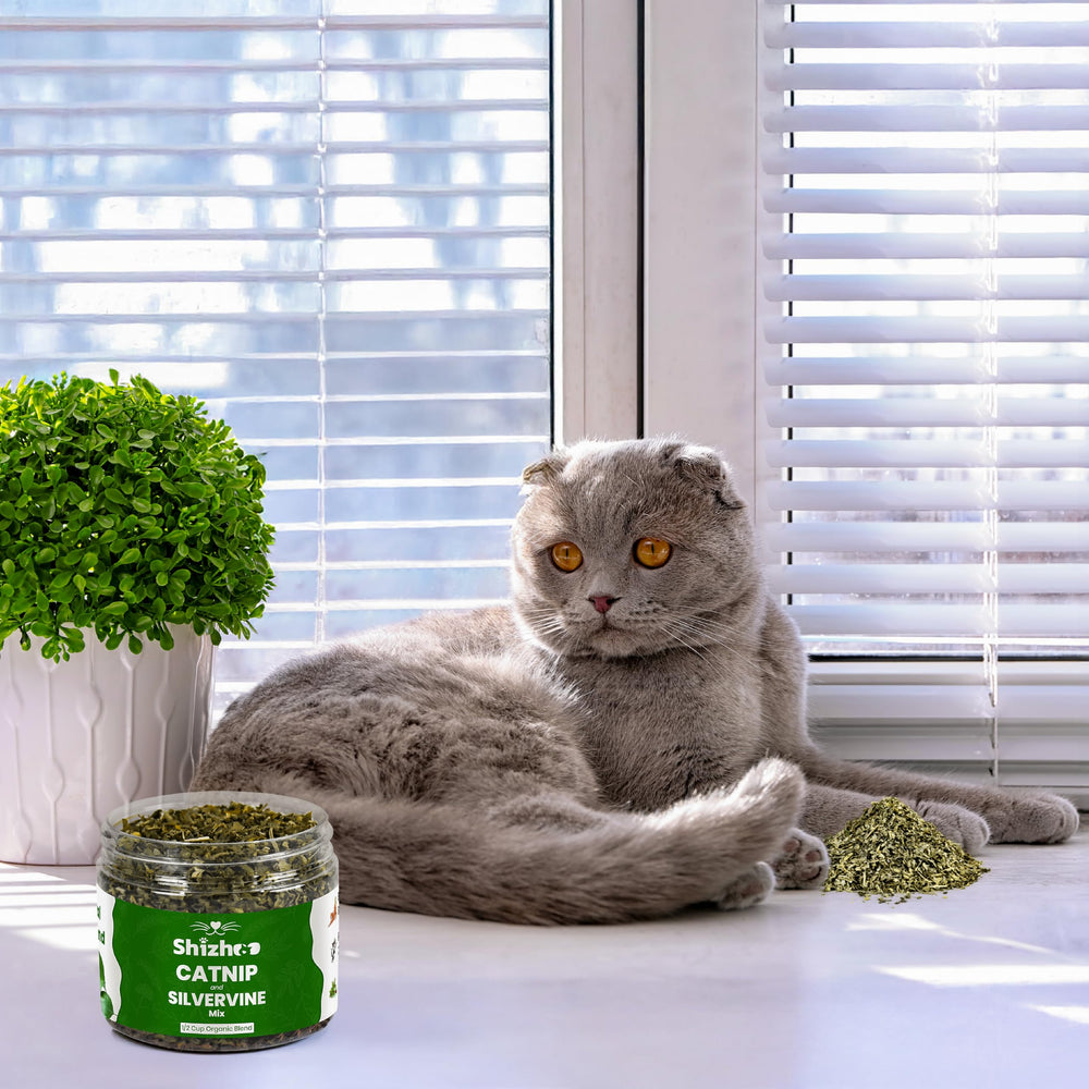 Shizhoo Catnip-Silver-Vine training-session demonstrates use as a training aid