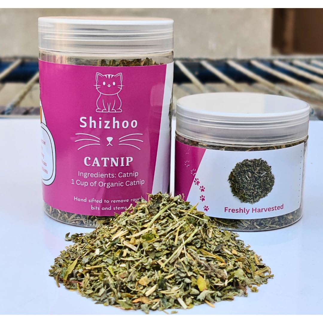 Shizhoo catnip-toy-accessory enhances interactive play with scent