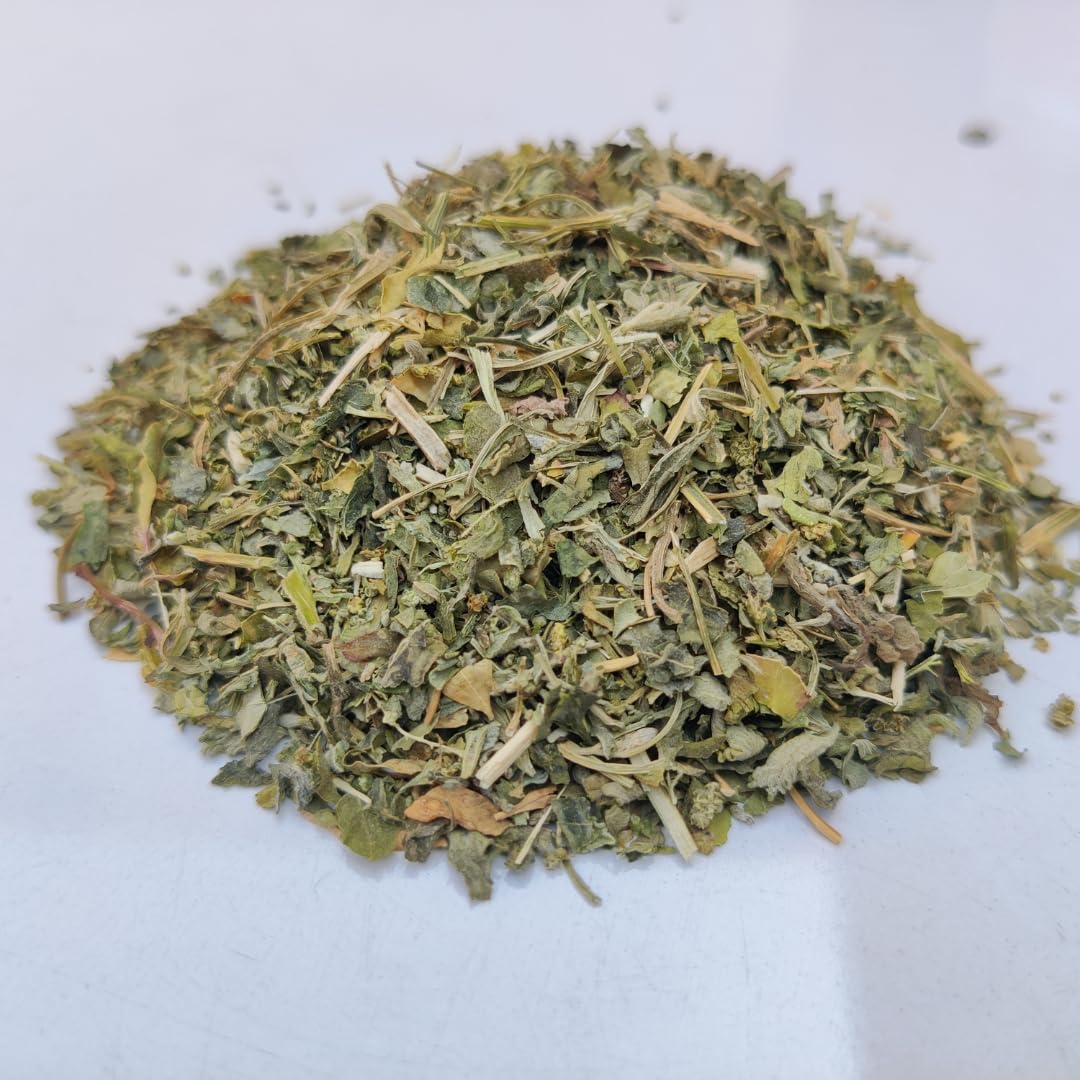 Shizhoo catnip-training-incentive reward during training sessions