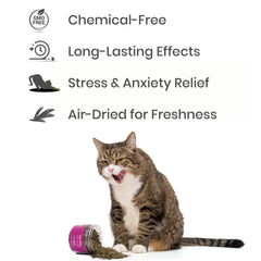 Shizhoo Catnip refillable-toy-in-use encourages extended play and repeat enjoyment.