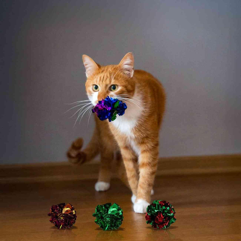 Shizhoo interactive cat toys offer versatile, engaging indoor entertainment.