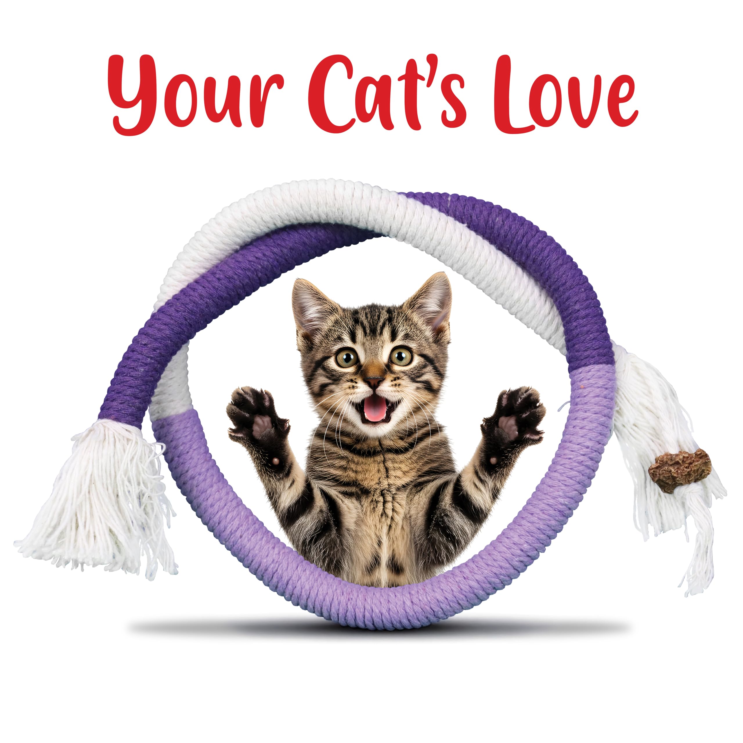 Shizhoo interactive play bond image shows owner-cat engagement and enrichment opportunities.