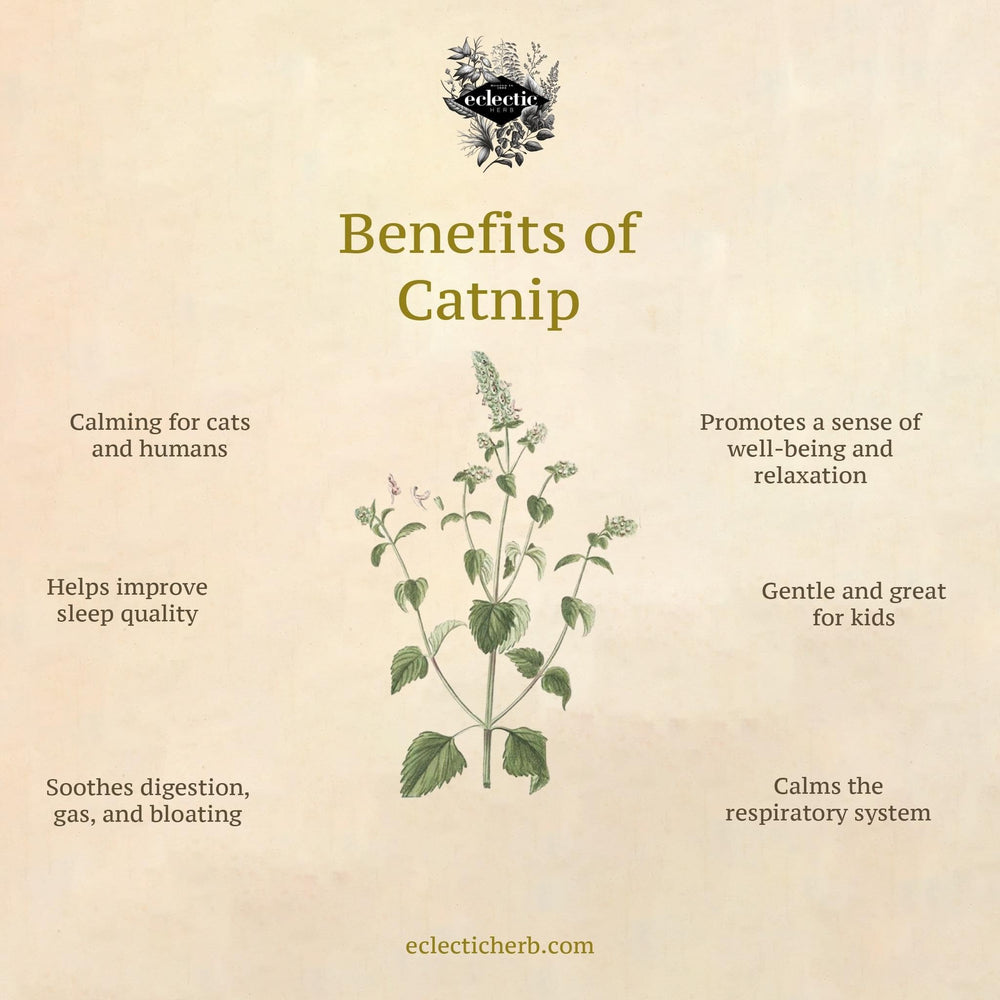 ShopSense Premium Catnip Spray on toys spritz for quick scent boost for curious cats