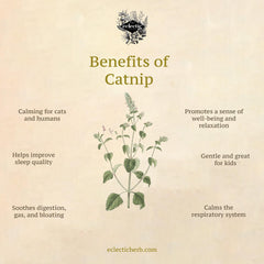 ShopSense Premium Catnip Spray on toys spritz for quick scent boost for curious cats