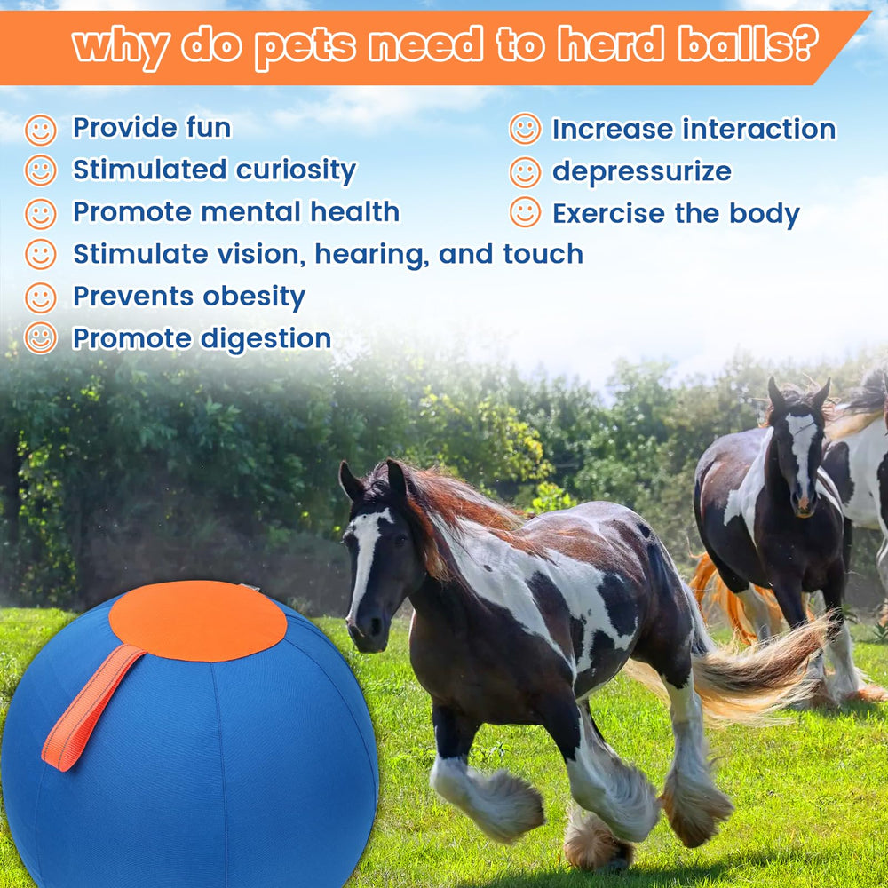 Aimery Shrandi improved handle design enhances safe interactive fetch sessions.