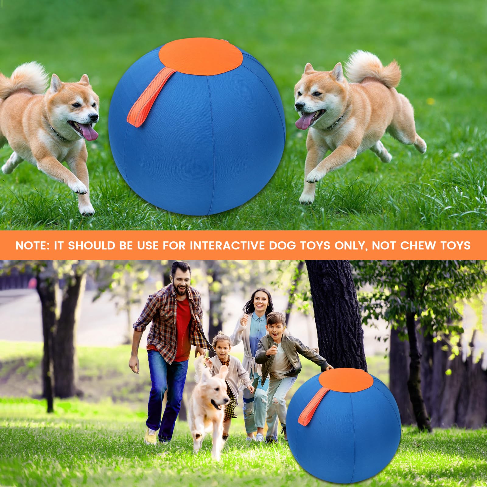 Aimery Shrandi training ball with realistic bounce supports physical and mental activity.