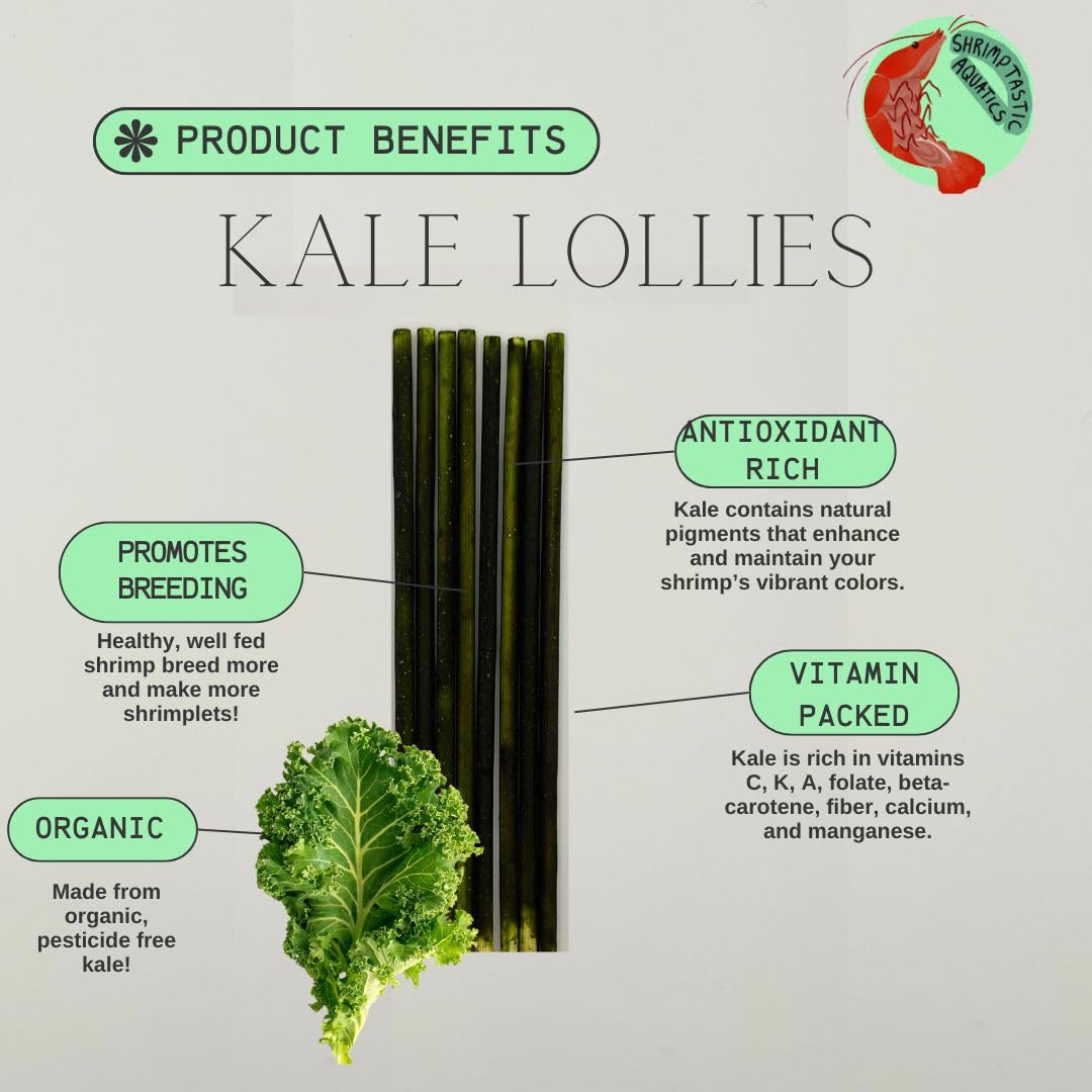 Shrimptastic Aquatics feeding time magic stick makes feeding engaging