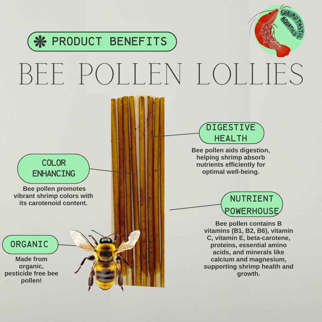 Shrimptastic Aquatics nano-tank-friendly lolly suited for small tanks