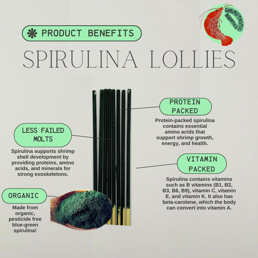 Shrimptastic Aquatics vibrant colors appeal enhances tank aesthetics and shrimp color