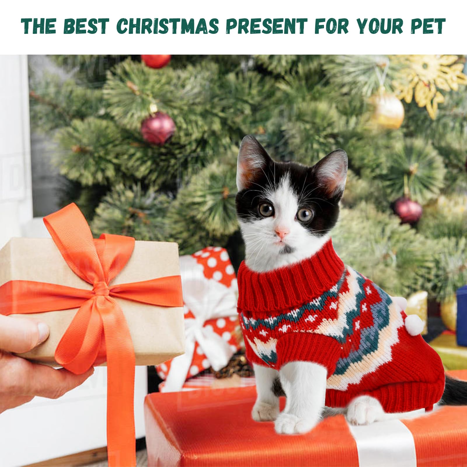 ShuRung puppy Christmas sweater elf front view shows pattern and warmth