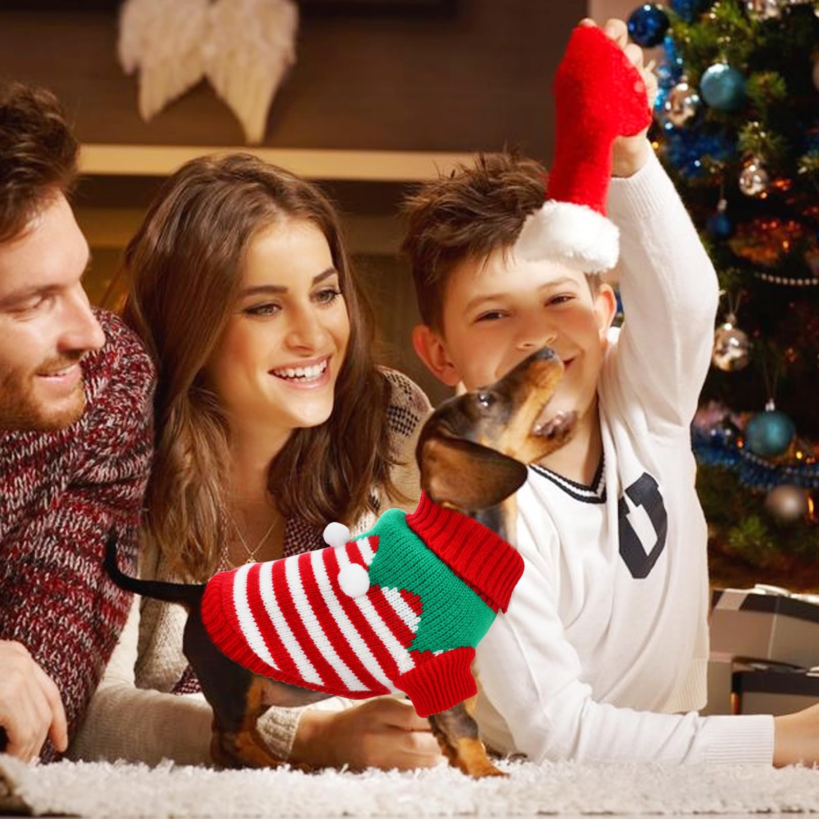 ShuRung puppy Christmas sweater washable detail emphasizes easy care and repeated wear