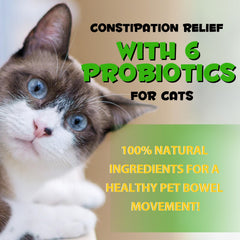 Shuangjia Cat Constipation Relief dropper usage for precise dosing