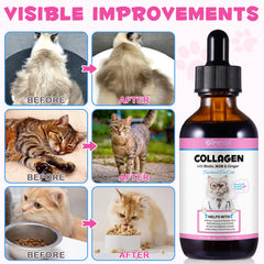 Shuangjia Collagen for Cats coat glow reflection image