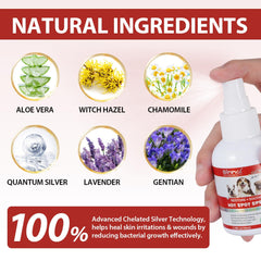 Shuangjia hot spot spray application mist delivers gentle, even coverage.