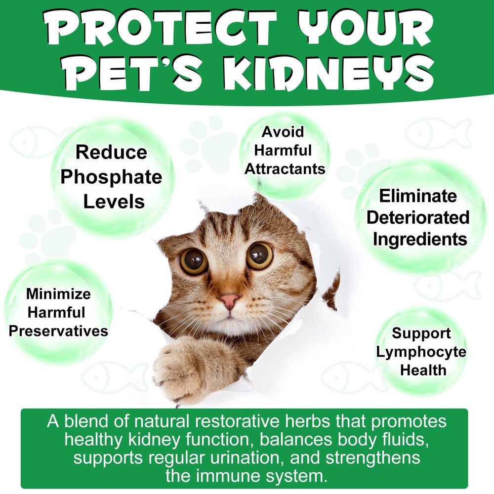 Shuangjia Kidney Support cat urinary health emphasizes healthy urinary function.
