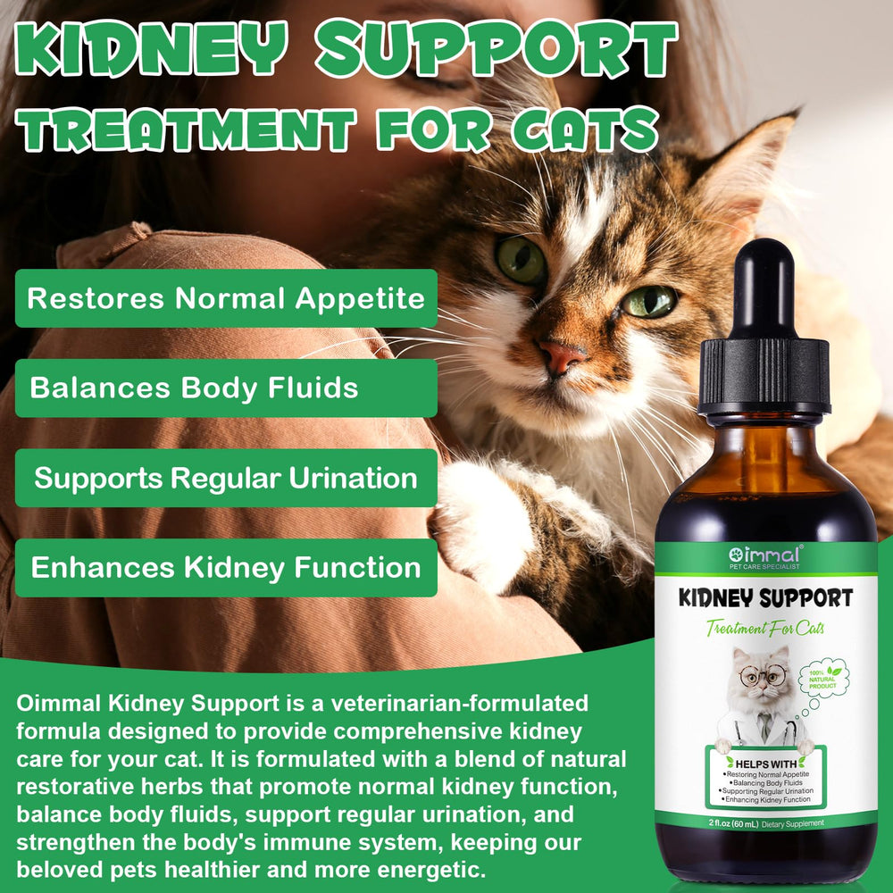 Shuangjia Kidney Support immune-boost cat depicts broader feline wellness.