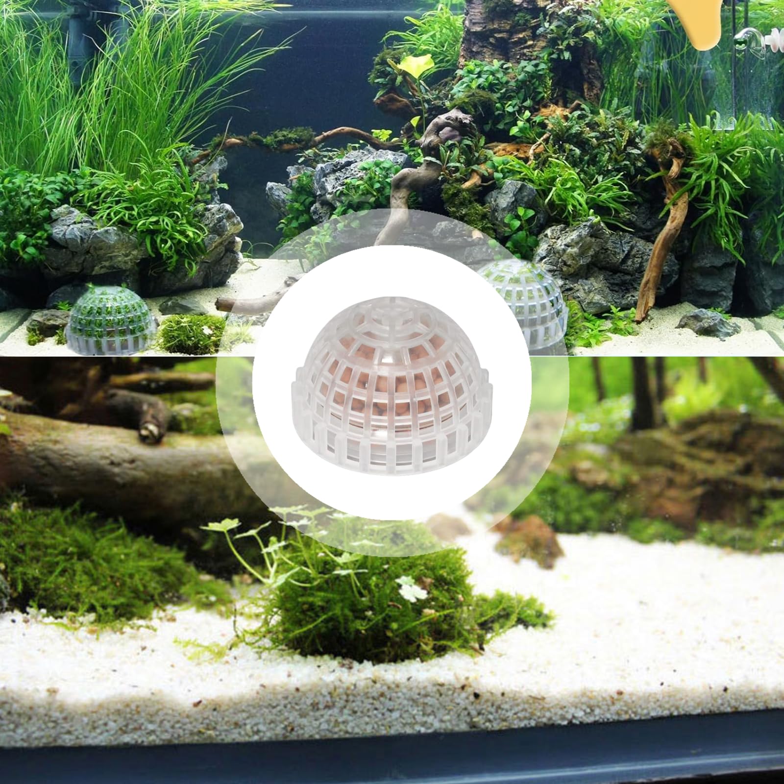 SHUNGXINYI aquarium moss display setup creates a natural focal point in aquariums.