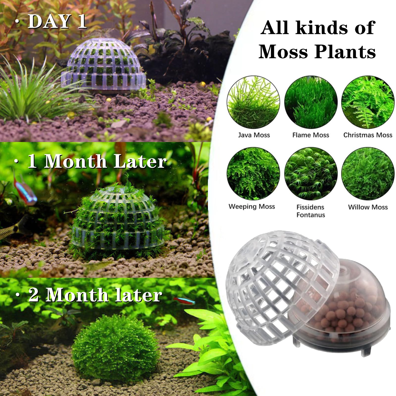 SHUNGXINYI decorative filter stones show subtle contrast and anchor moss balls in aquariums.