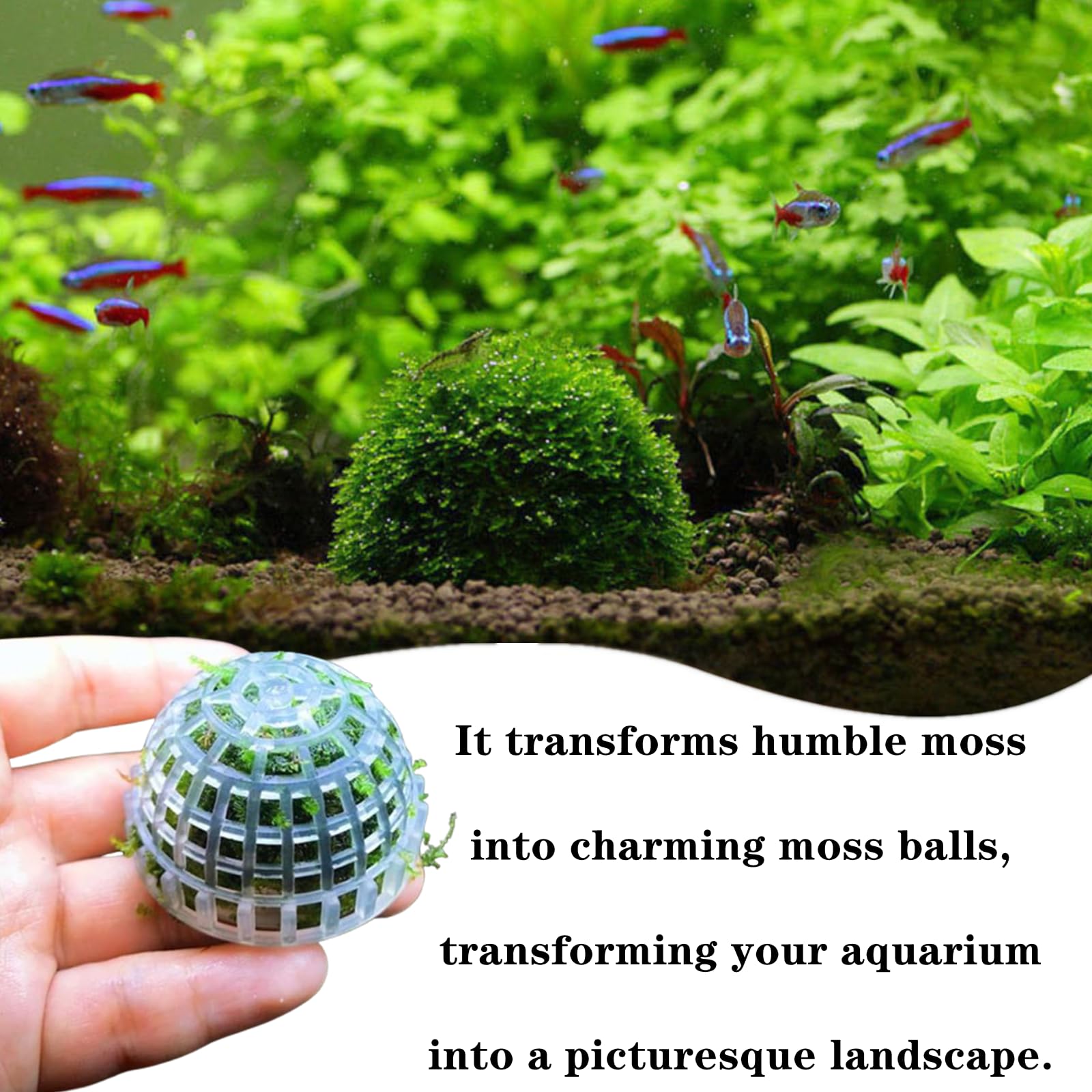 SHUNGXINYI moss ball holder dimensions 5cm x 5cm x 3.5cm fit compact spaces.