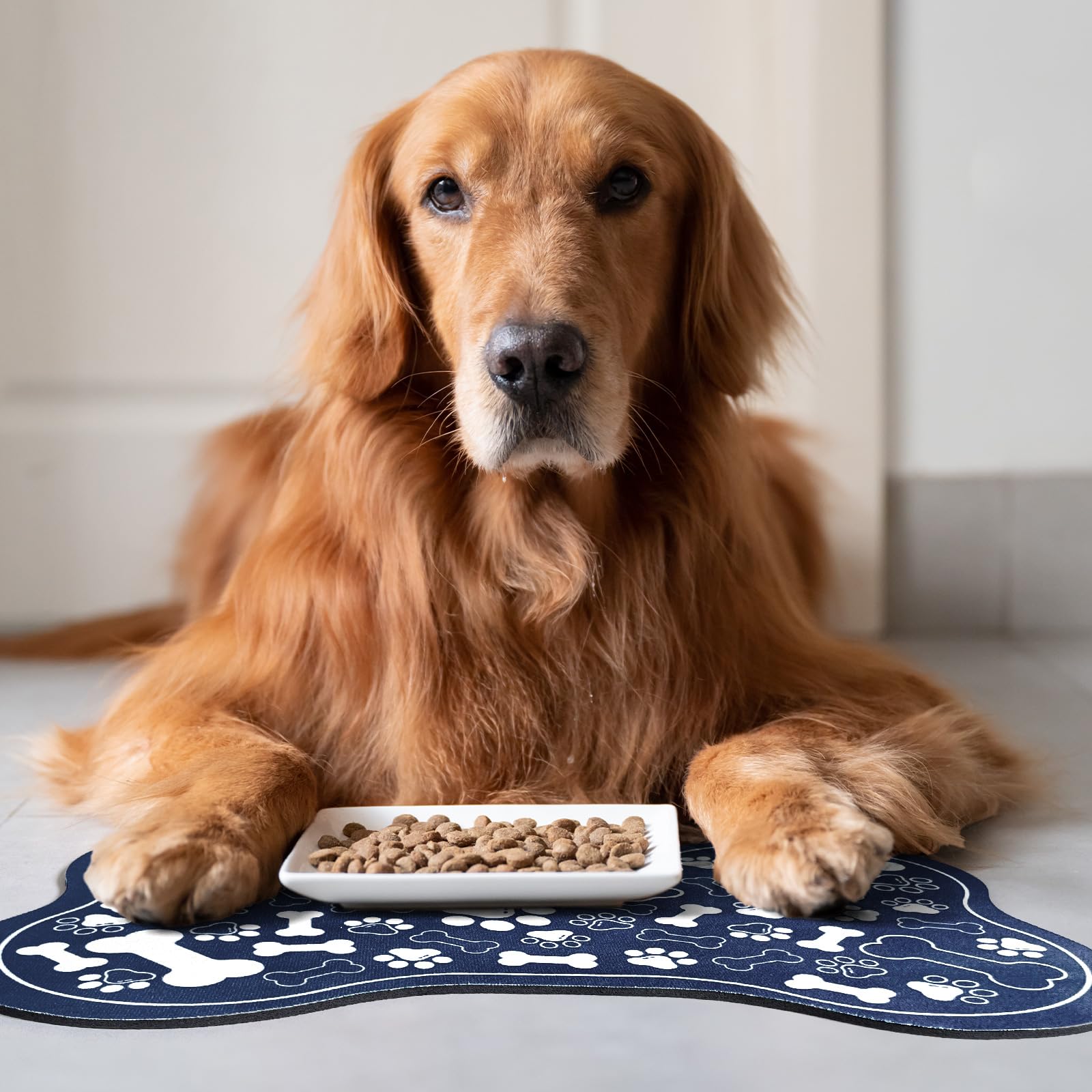 SHUNLCD multi-use pet mat guards floors under water bowls and litter boxes.