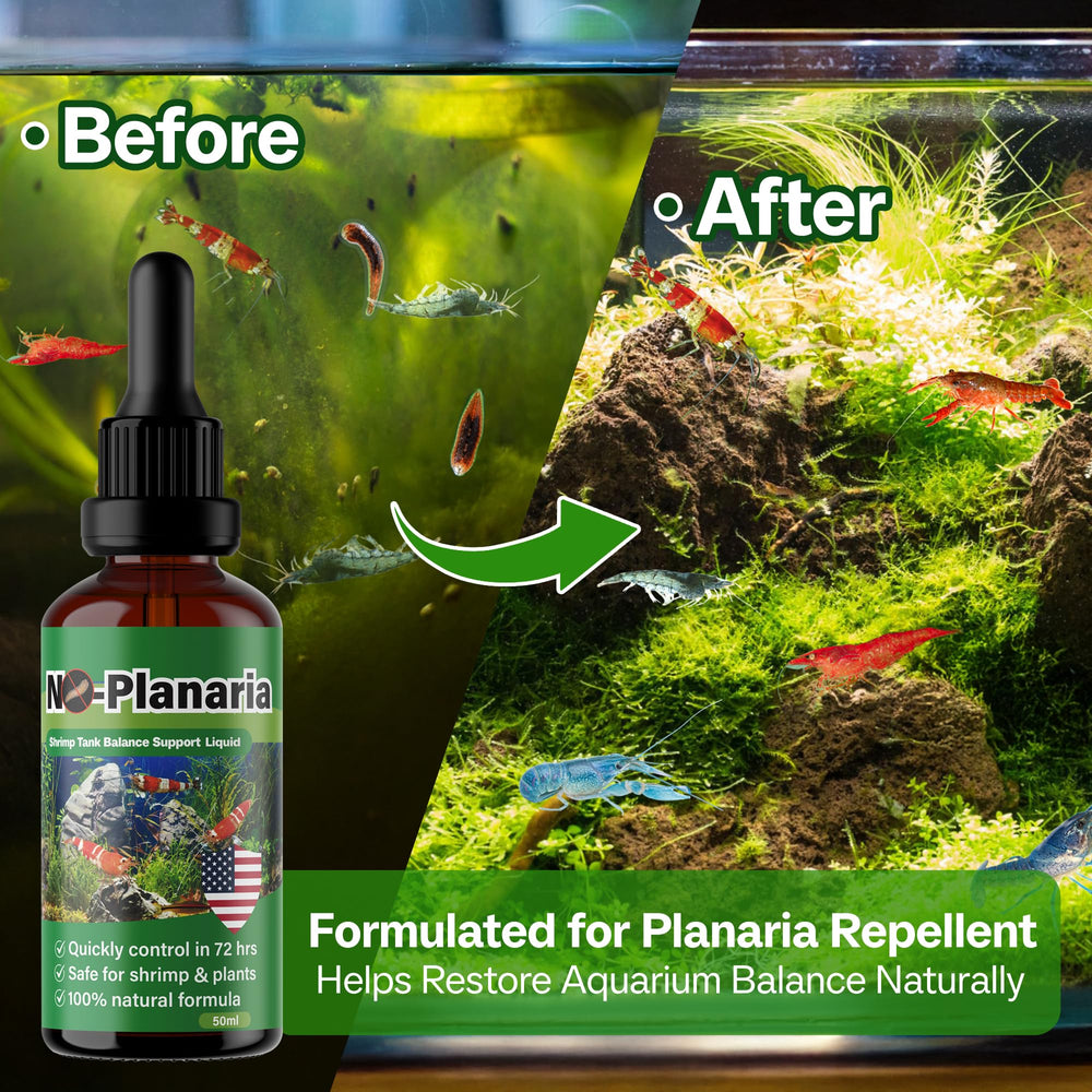 SHUNNIUB aquarium setup shows even distribution across plants and substrate