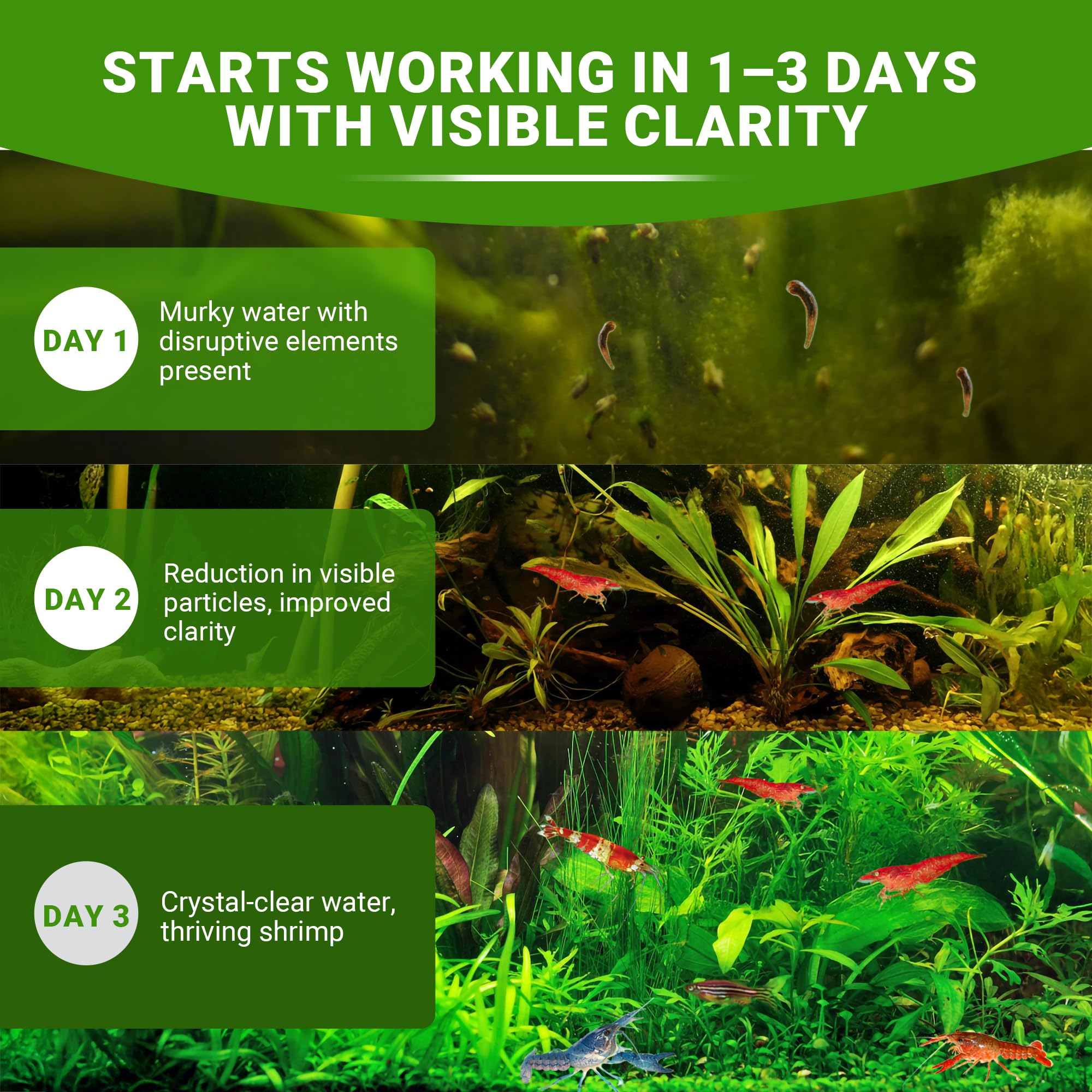 SHUNNIUB safe for shrimp and aquatic plants during use