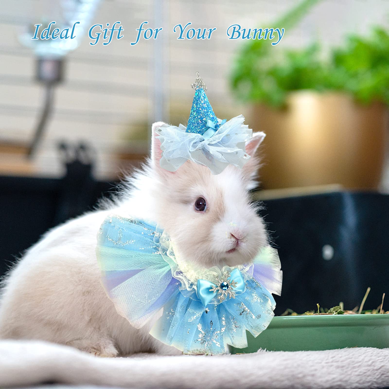 ShuRung bunny bandana detail on pet offers versatile accessorizing.