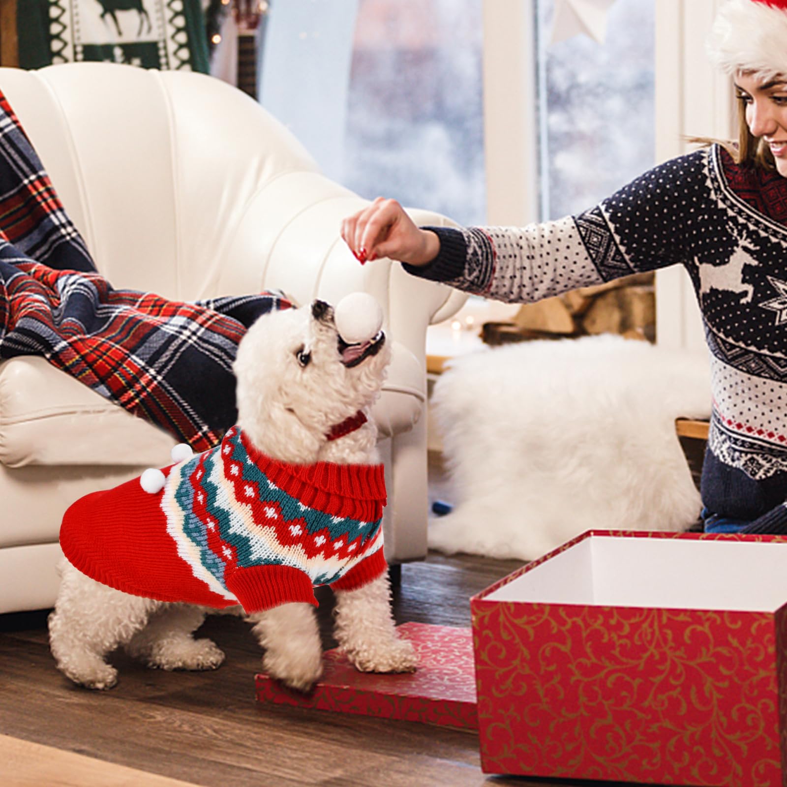 ShuRung Christmas pet sweater holly-front for holiday outfits and camera-ready moments.