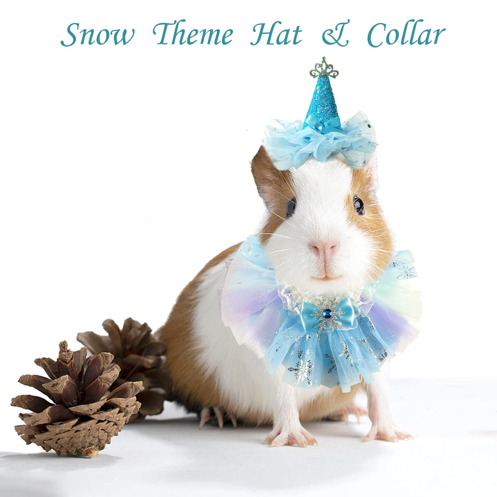 ShuRung festive pet cosplay setup for family photos.