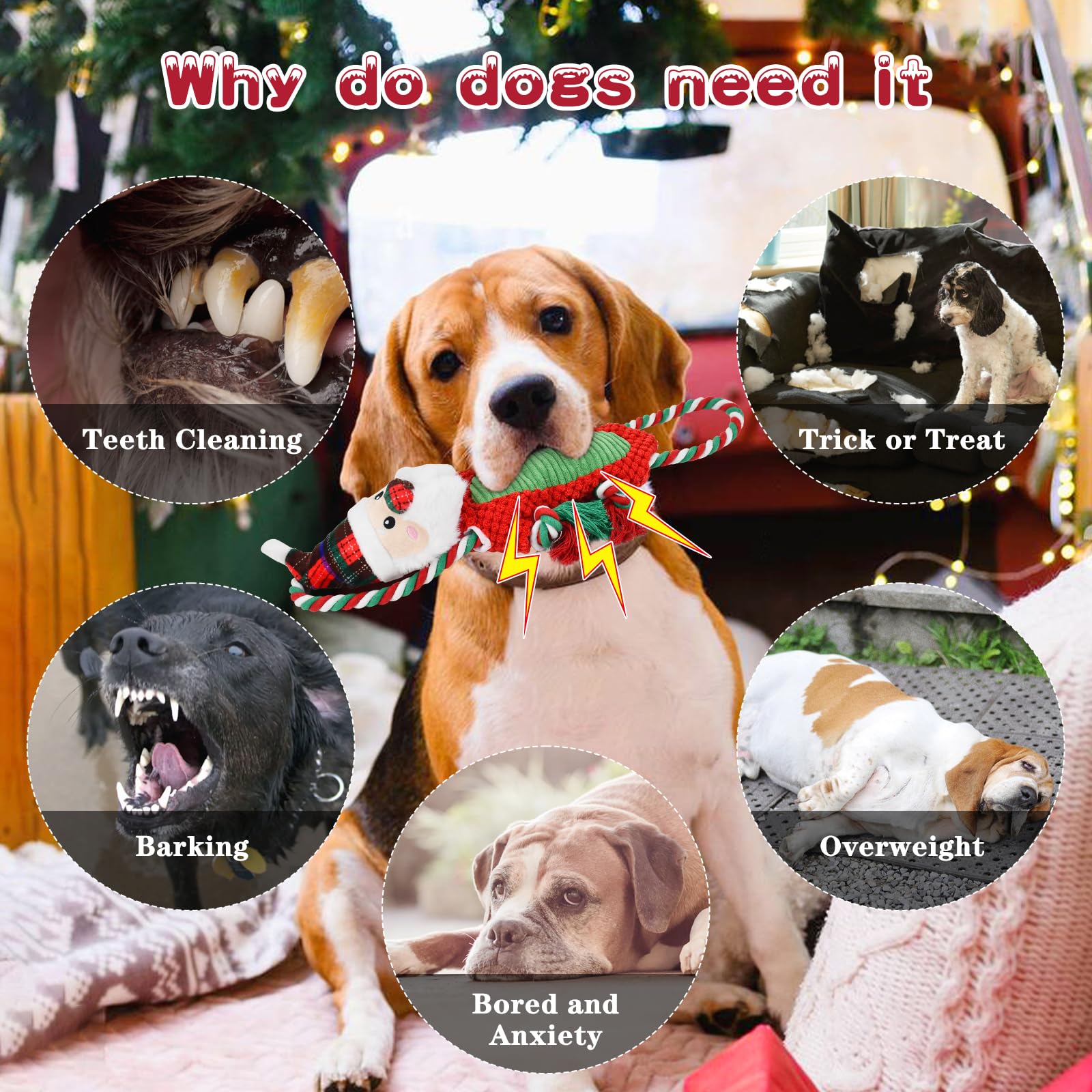 ShuRung Santa squeak toy during puppy playtime offers entertainment and boredom relief possibilities.