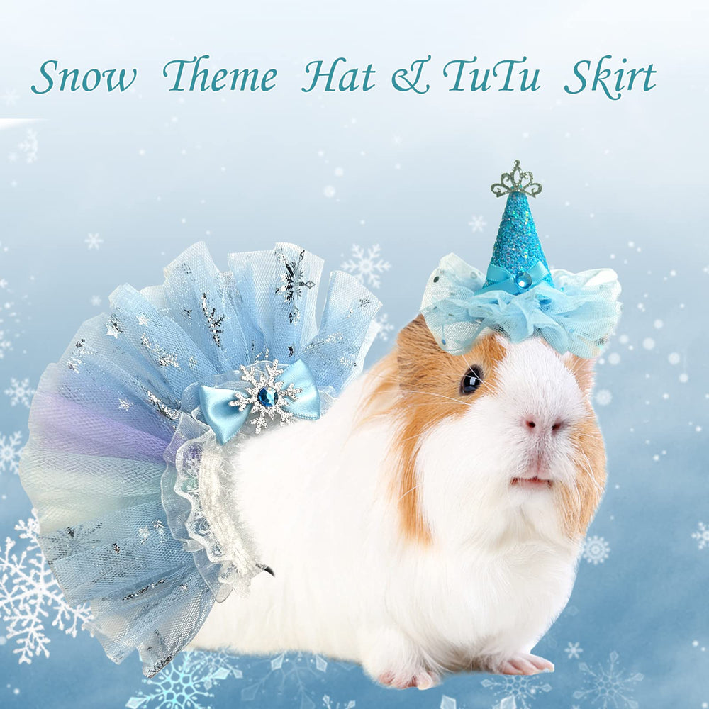 ShuRung small-pet outfit in festive photo session.