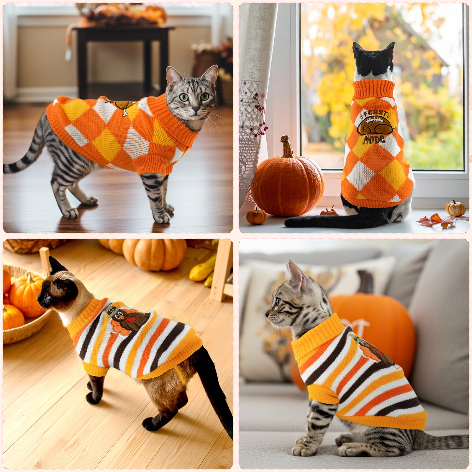 ShuRung XS cat sweater with size guide helps a better fit