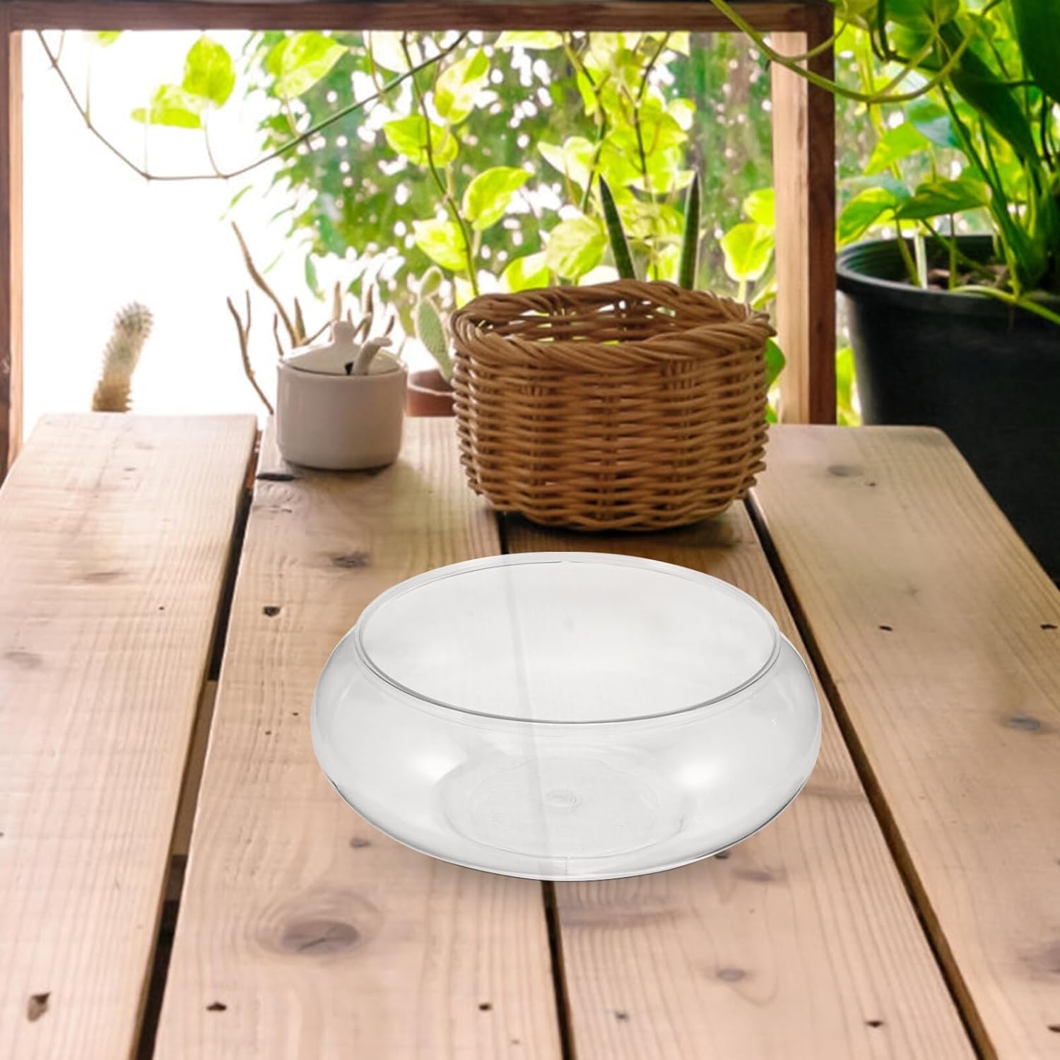 Shyliey home terrarium glass bowl creating airy botanical displays.