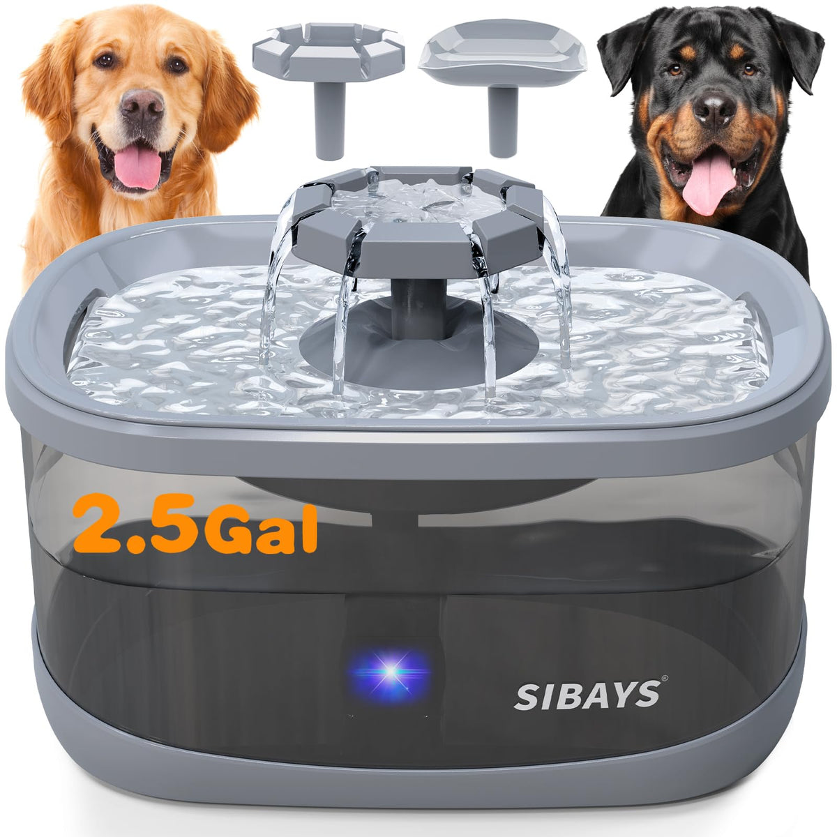 SIBAYS large-capacity fountain with flowing water entices pets to drink.
