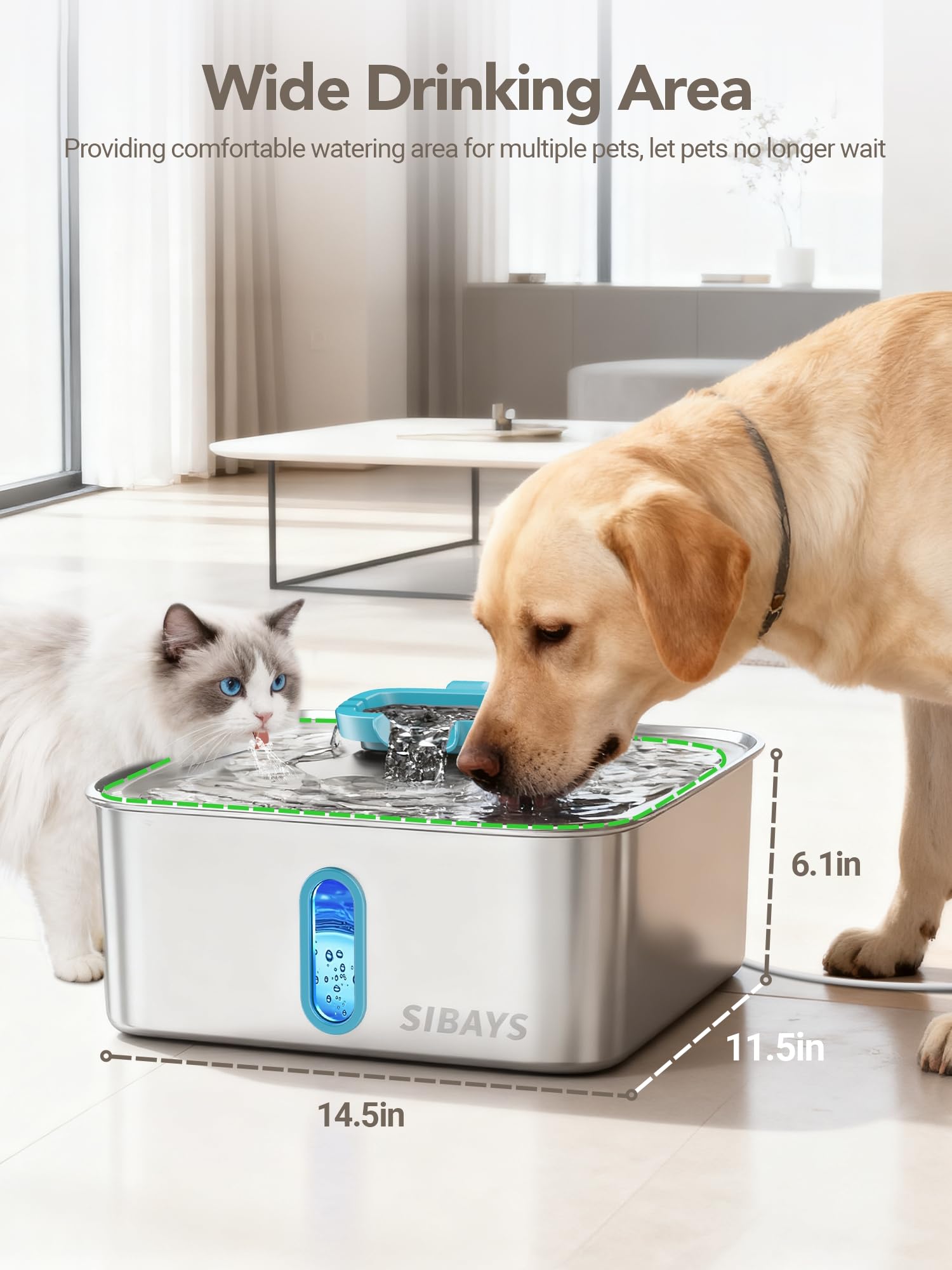SIBAYS large-capacity fountain supports big dogs and multi-pet households