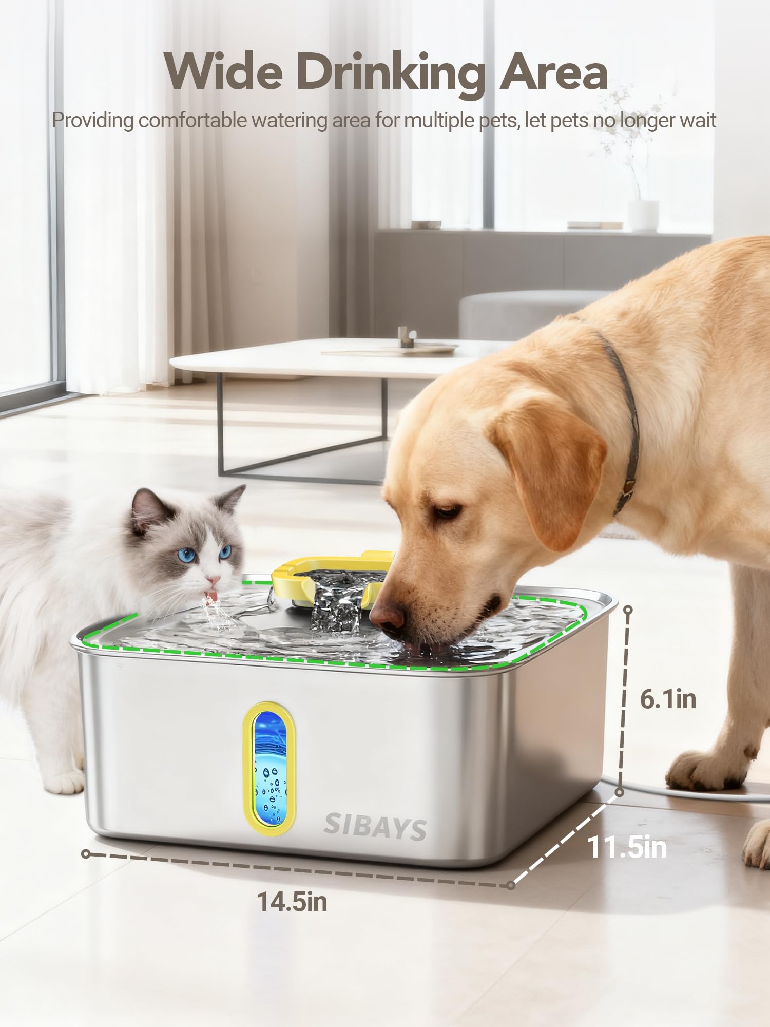 SIBAYS replacement filters and pump options support ongoing fresh, clean water.