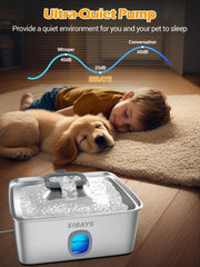 SIBAYS ultra quiet pump maintains peaceful home while dog drinks.