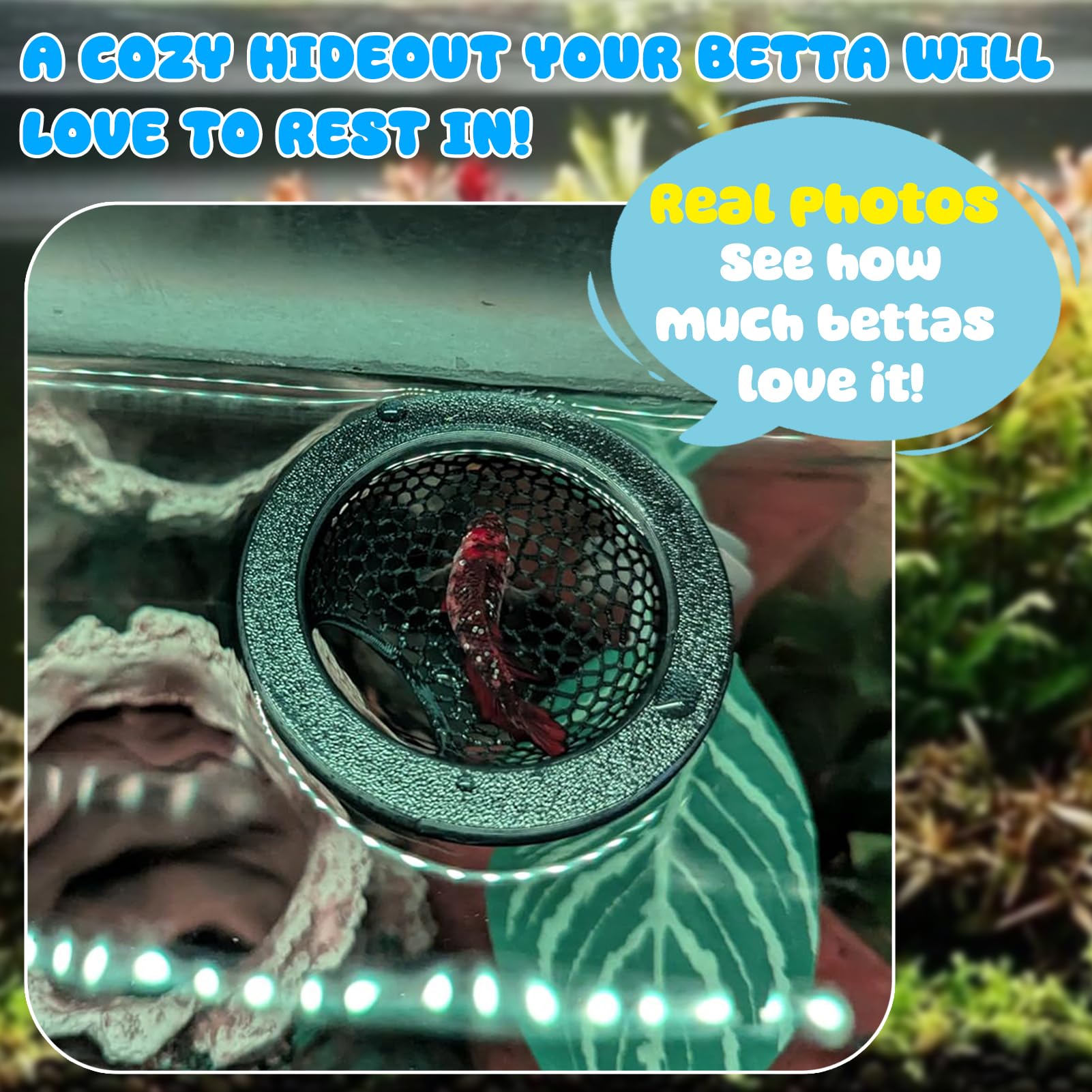 Sicutoz eco-safe PLA material highlights non-toxic, aquarium-safe construction.