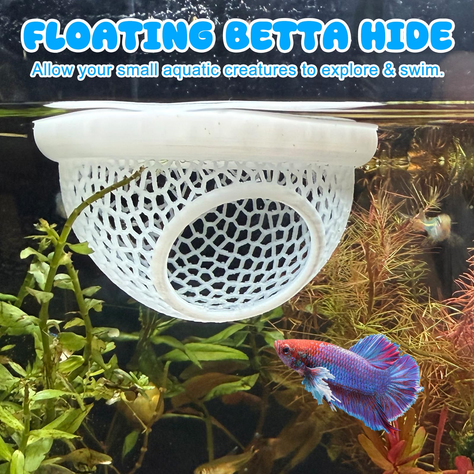 sicutoz Floating Betta Hide Shrimp Cave feeding ring keeps food contained and reduces waste