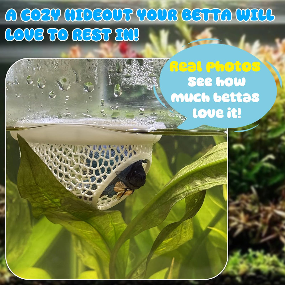 sicutoz Floating Betta Hide Shrimp Cave inside view reveals cozy shelter for small fish
