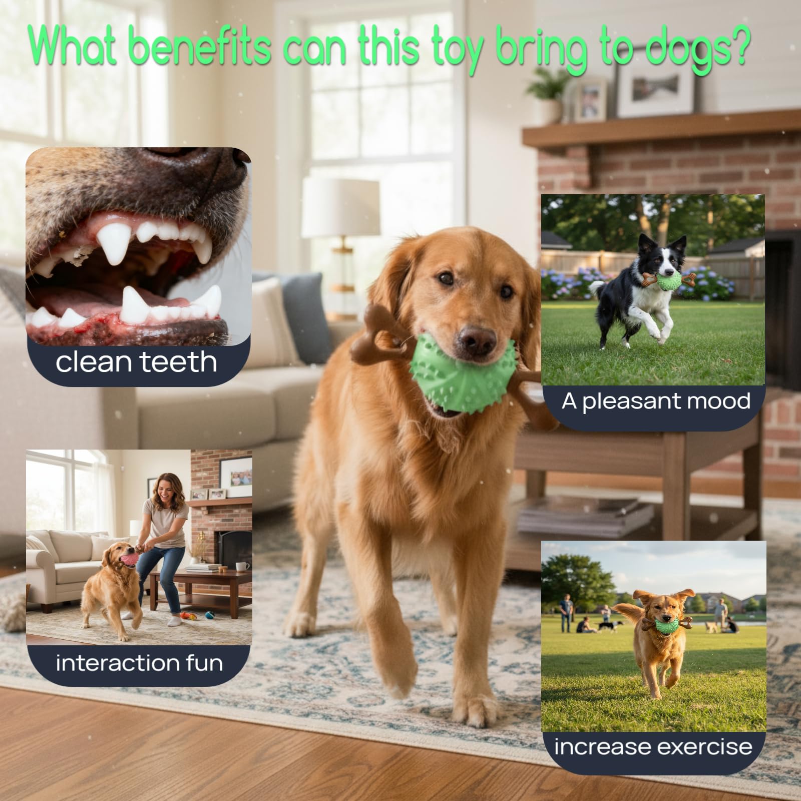 Sidaeren Indestructible Dog Chew Toy teeth-gum texture aids cleaning and massage