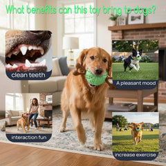 Sidaeren Indestructible Dog Chew Toy teeth-gum texture aids cleaning and massage