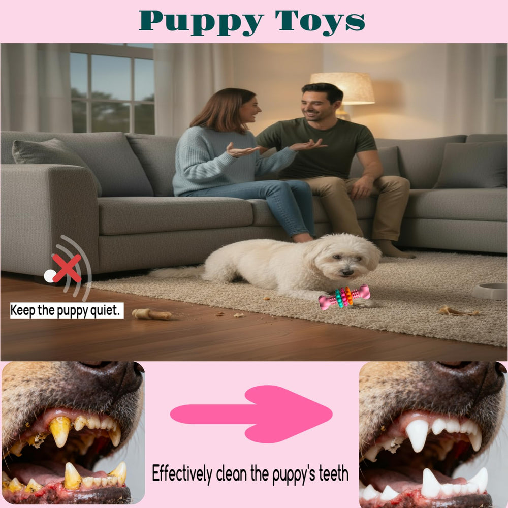 Sidaeren portable dog toy for outdoor use and travel