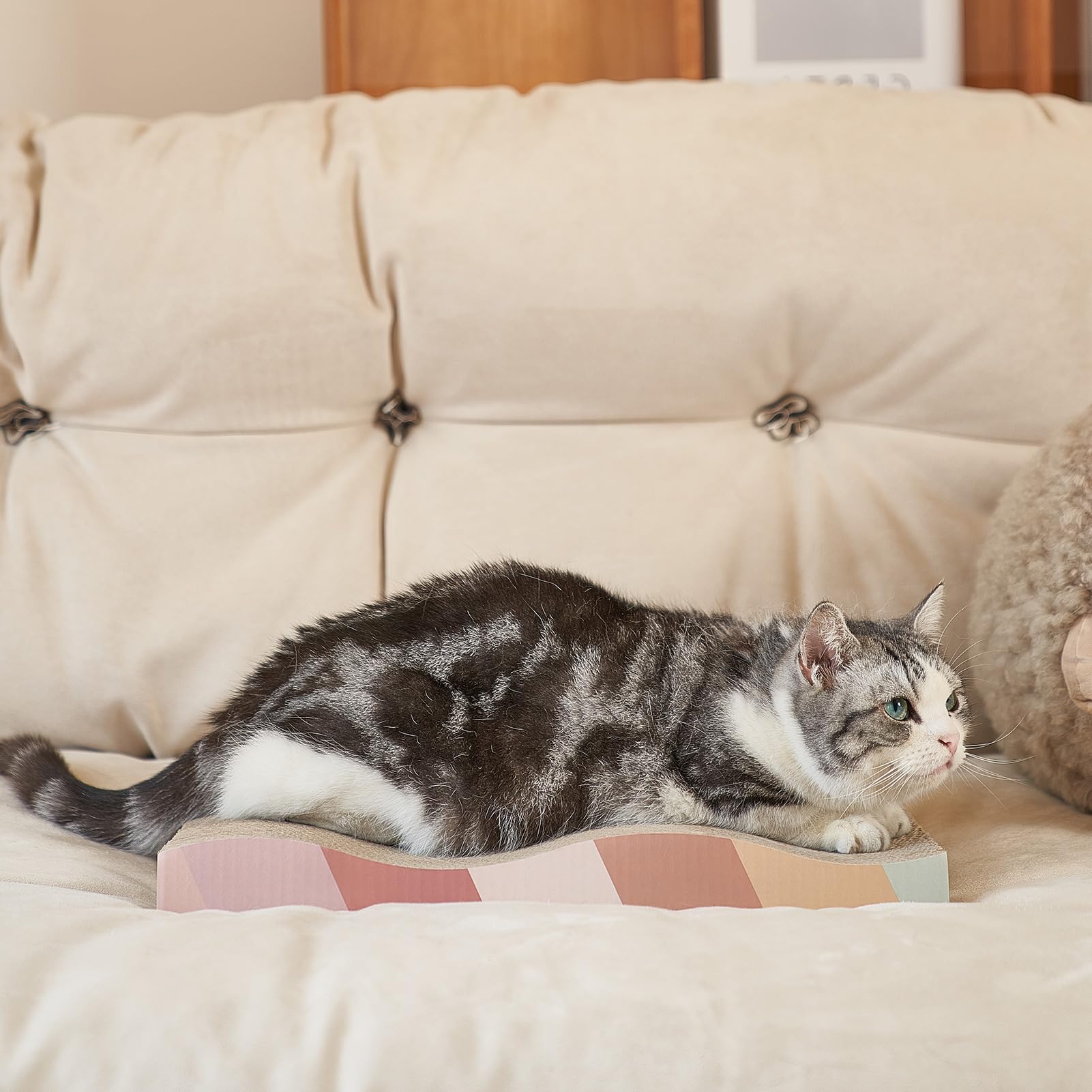 SIDAZON Cat Scratch Pad placed near sofa helps protect furniture.