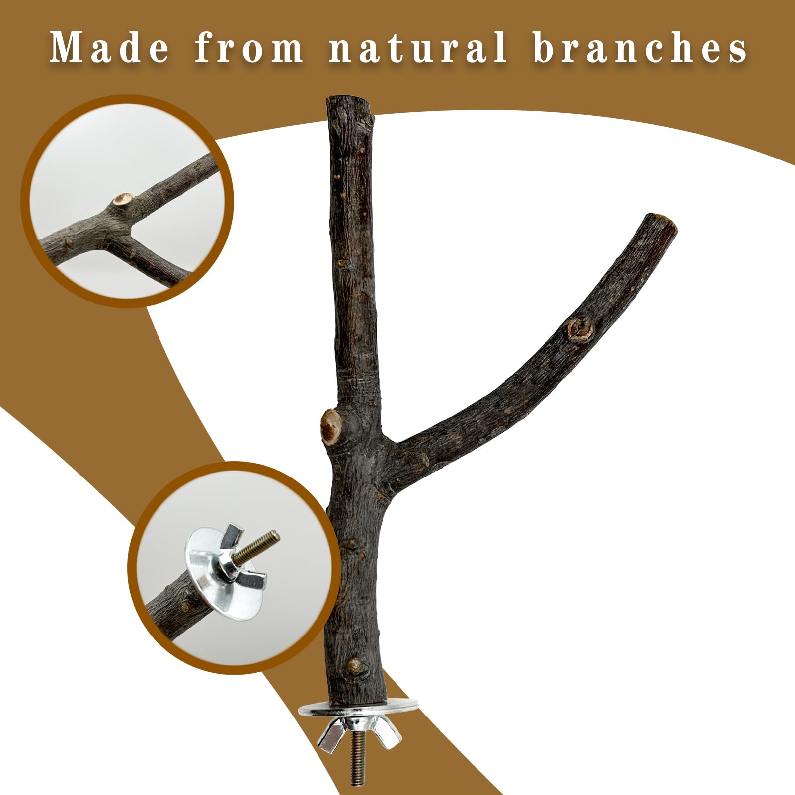 Sienle prickly ash perch with bell shows engaging exploration and enrichment