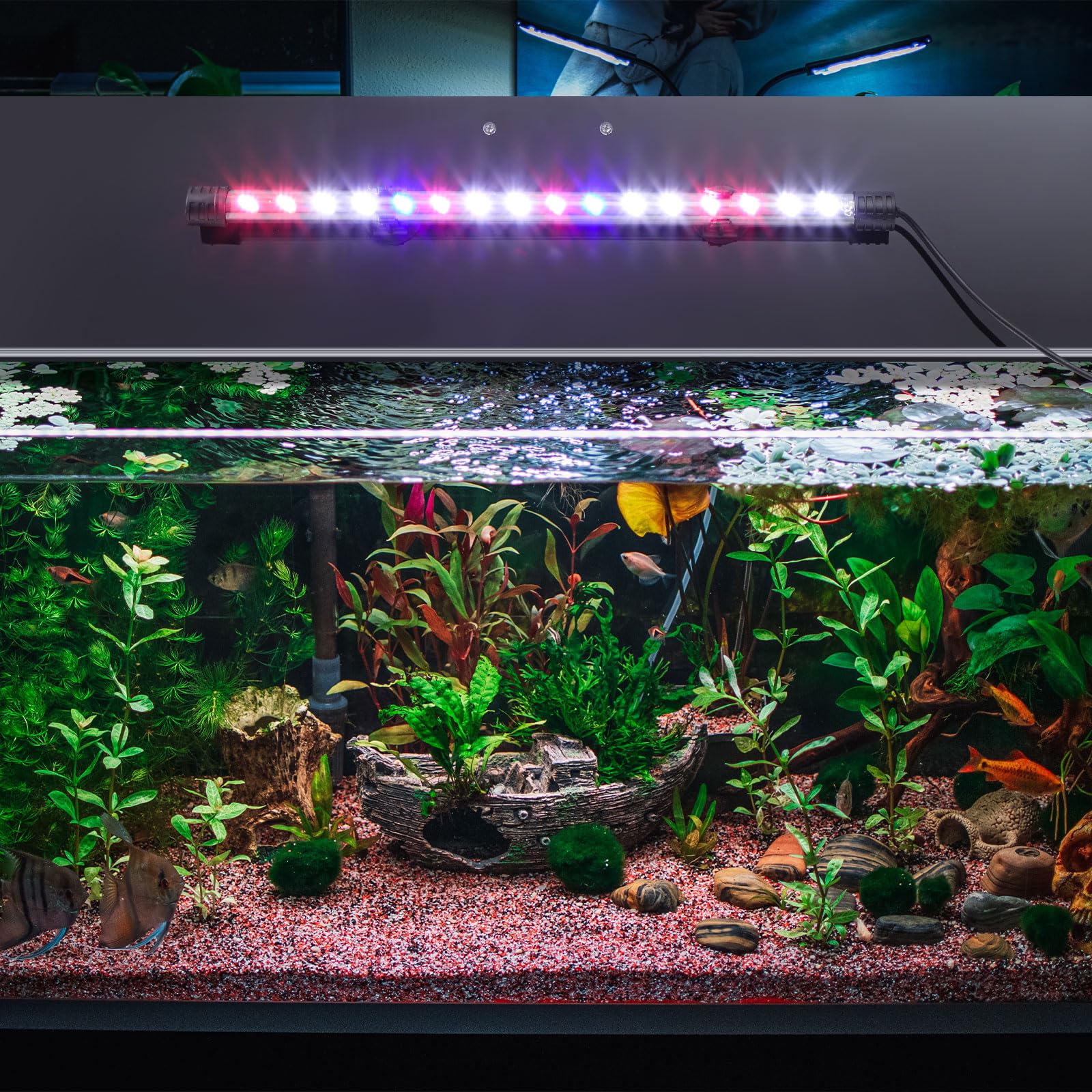 Sieral lid measures 19.37 by 9.37 inches for 10/20 gallon tanks